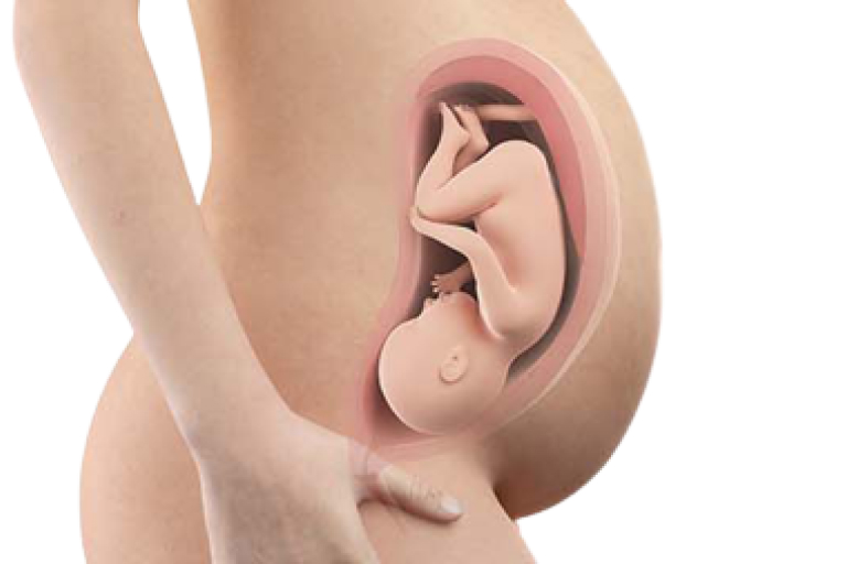 Week 36
